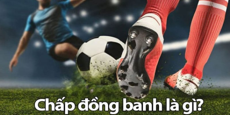 Xây dựng chiến lược cá cược hiệu quả cao